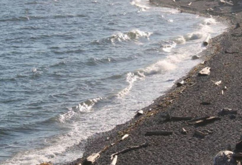 호텔 Dashwood Manor Seaside Bed & Breakfast