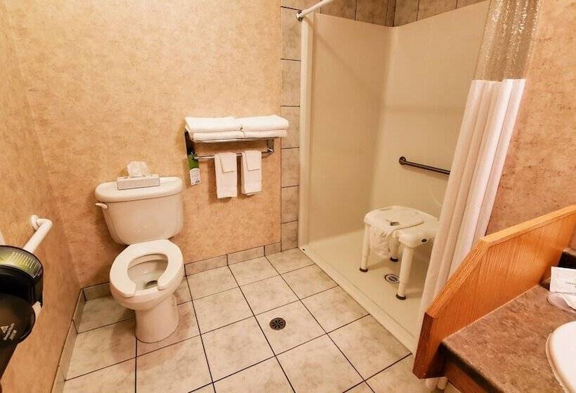 בית מלון כפרי Days Inn By Wyndham Penticton Conference Centre