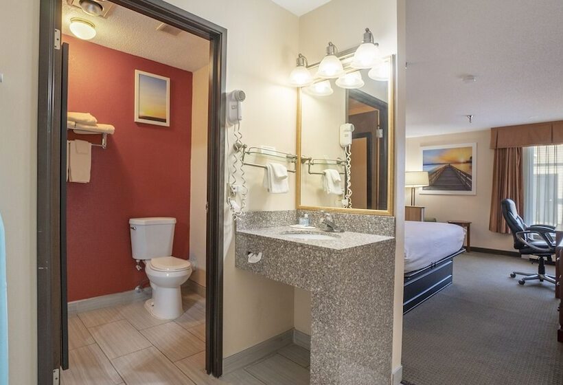 Отель Days Inn & Suites By Wyndham Mt Pleasant