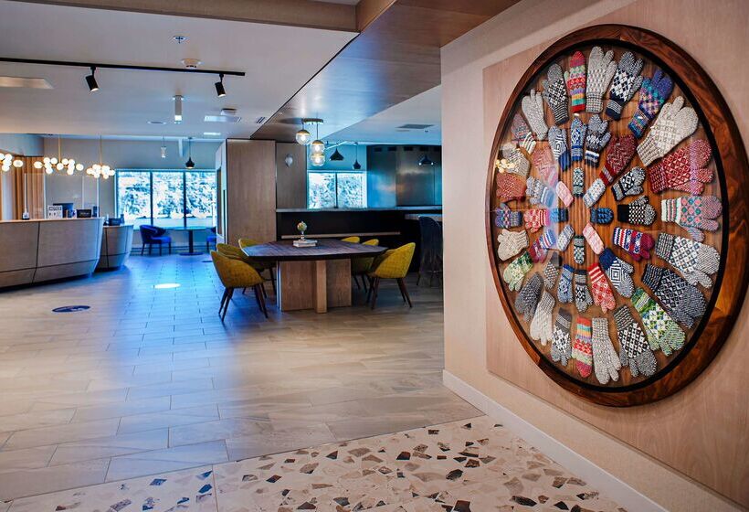 酒店 Doubletree By Hilton St. John S Harbourview