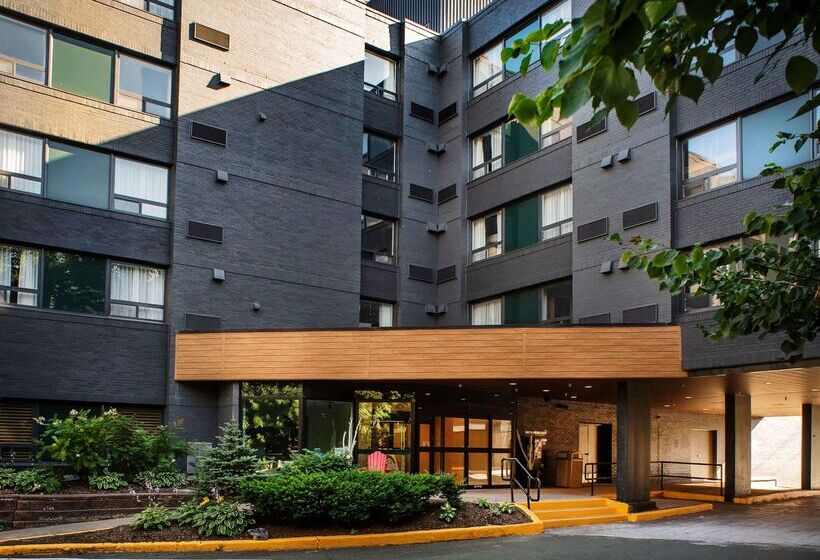 酒店 Doubletree By Hilton St. John S Harbourview