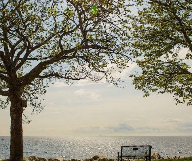 בית מלון כפרי Driftwood Inn