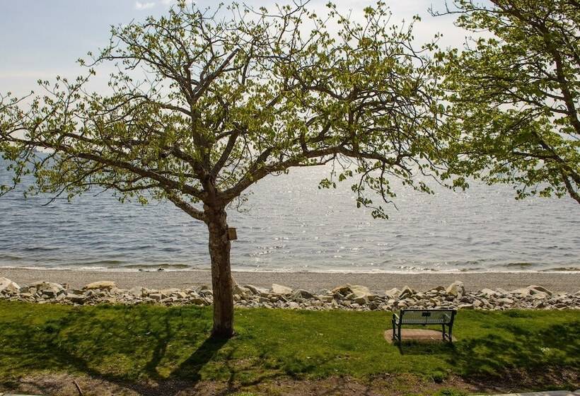 בית מלון כפרי Driftwood Inn