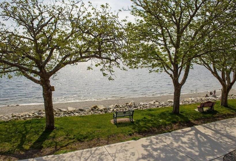 בית מלון כפרי Driftwood Inn