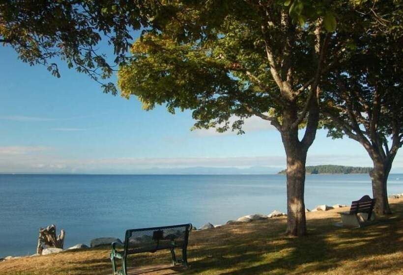 בית מלון כפרי Driftwood Inn