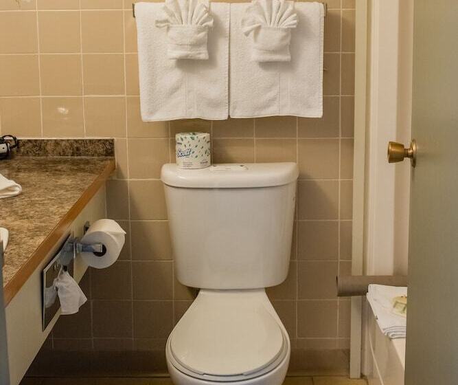 בית מלון כפרי Driftwood Inn