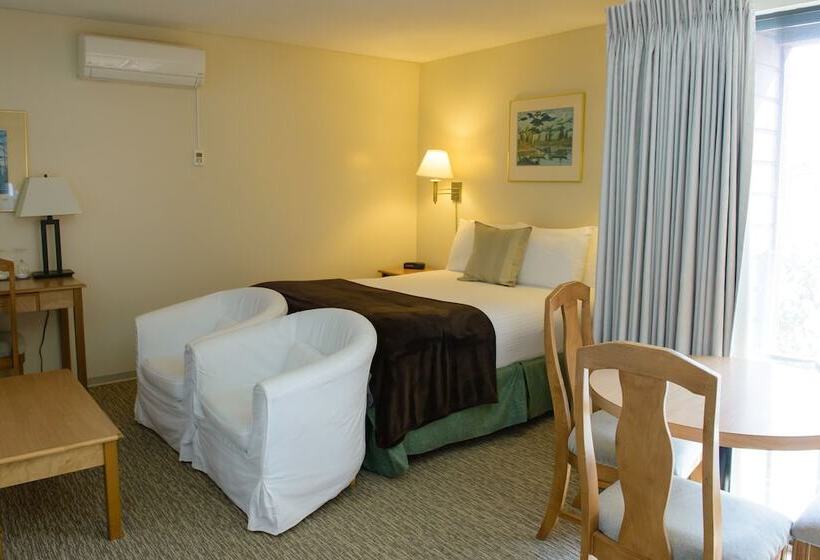 בית מלון כפרי Driftwood Inn