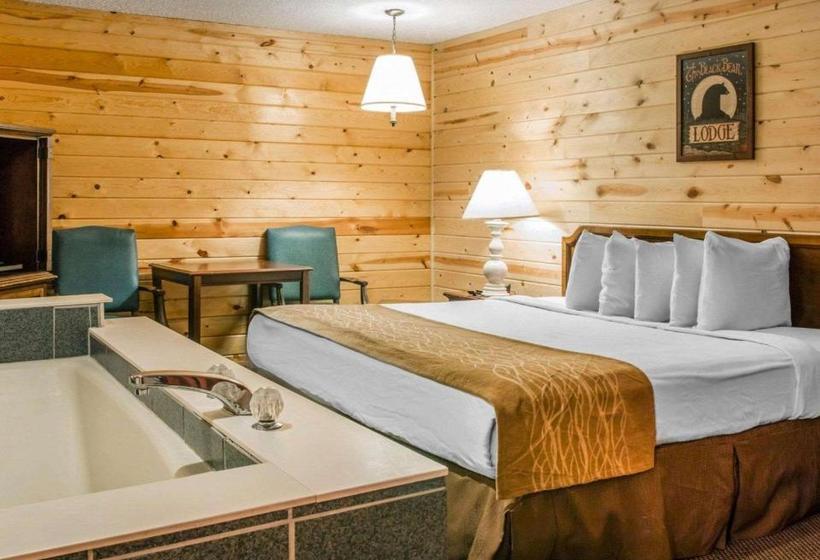 Отель Econo Lodge Bayview