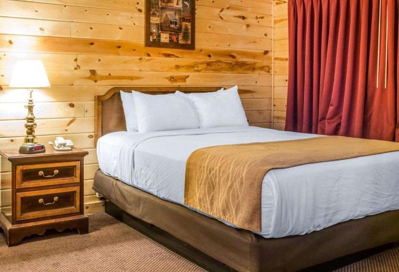 Отель Econo Lodge Bayview