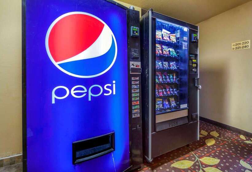 בית מלון כפרי Econo Lodge Black Hills