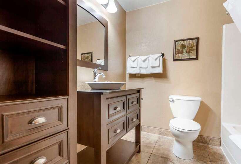 בית מלון כפרי Econo Lodge Black Hills