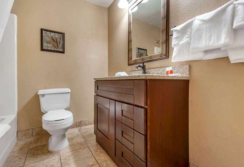 בית מלון כפרי Econo Lodge Black Hills