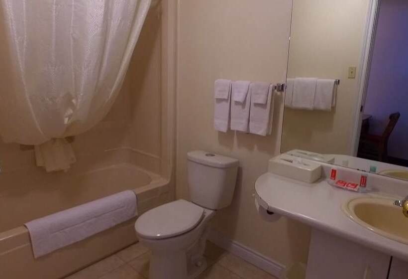 בית מלון כפרי Econo Lodge Inn & Suites