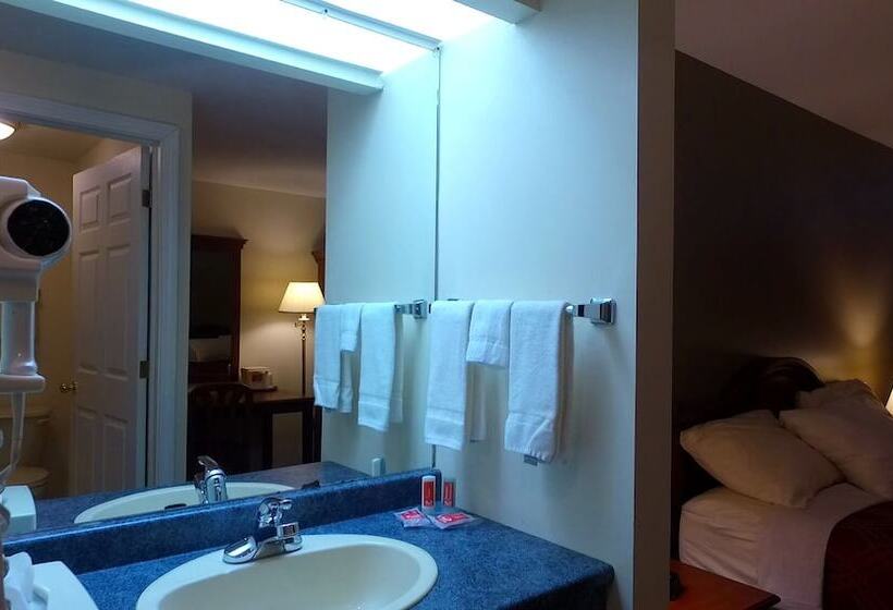 בית מלון כפרי Econo Lodge Inn & Suites