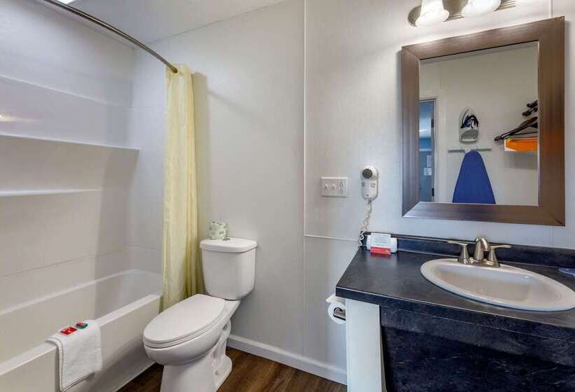 酒店 Econo Lodge Inn & Suites South