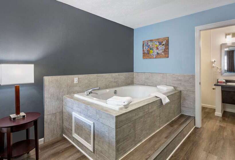 酒店 Econo Lodge Inn & Suites South