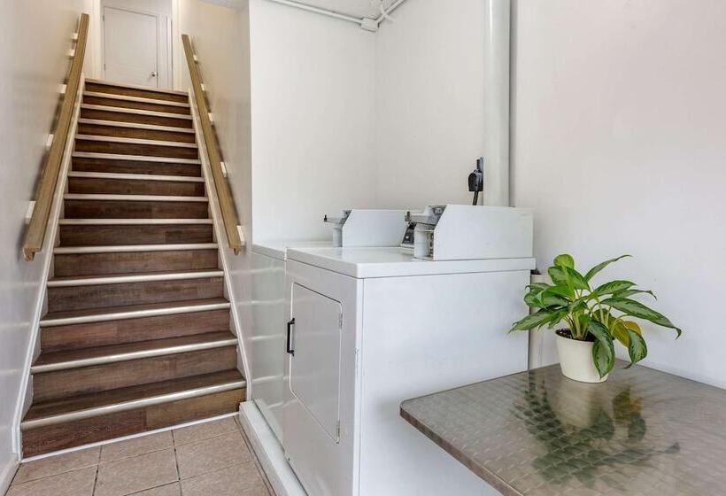 酒店 Econo Lodge Inn & Suites South