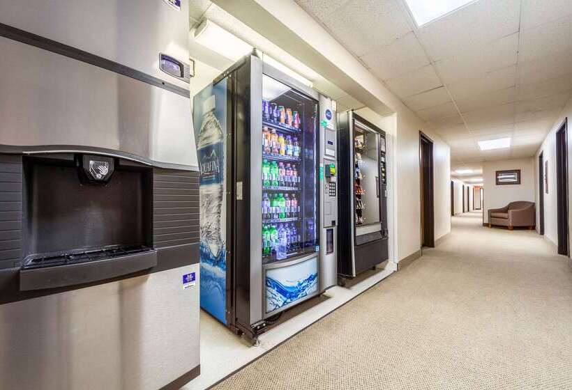 Отель Econo Lodge