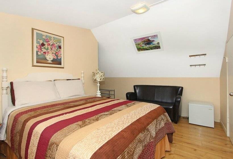 호텔 Gower Guest House