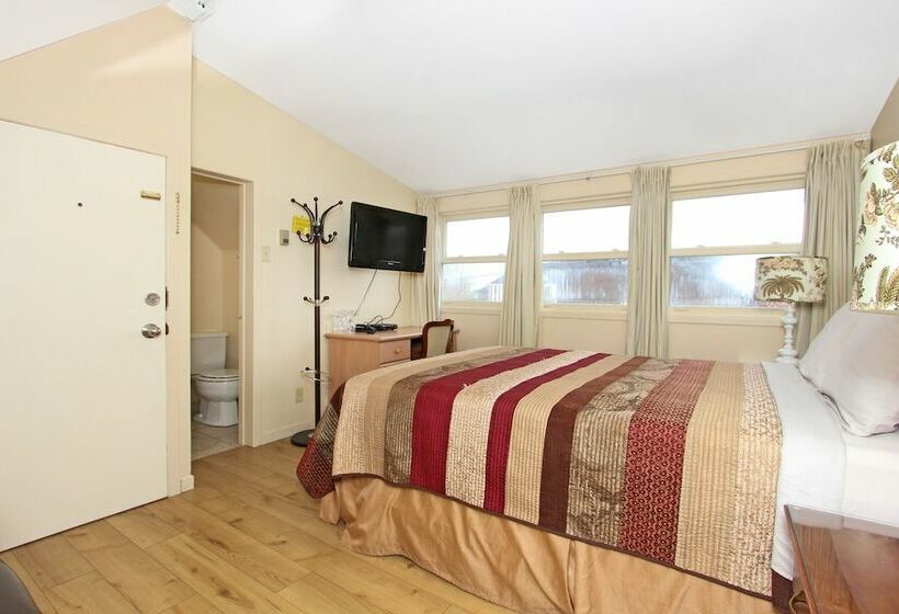 호텔 Gower Guest House