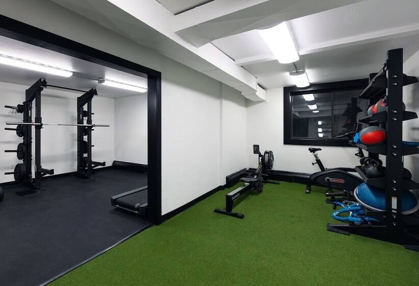 בית מלון כפרי Gravity Haus Steamboat