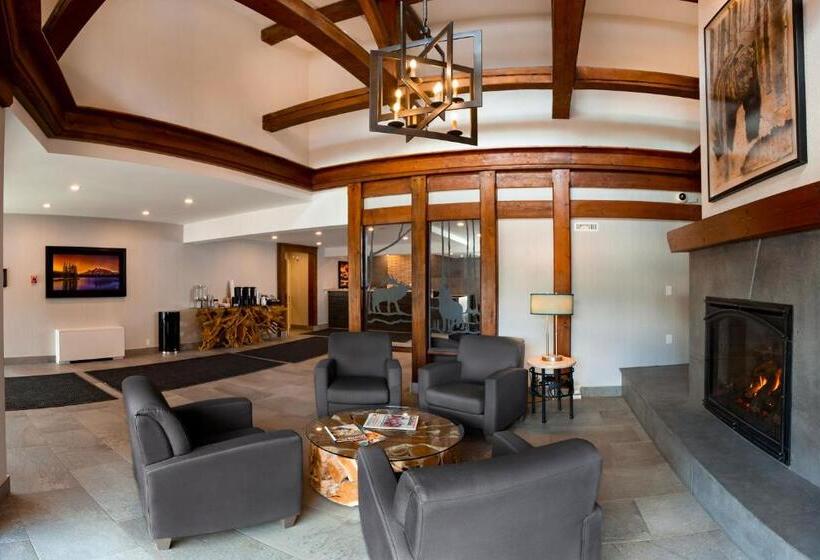 فندق The Kenrick