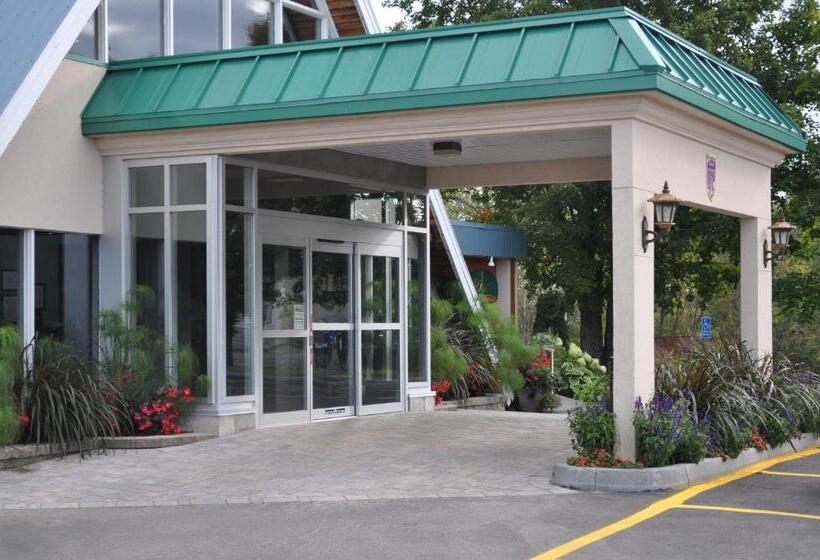 酒店 Hôtel Le Francis