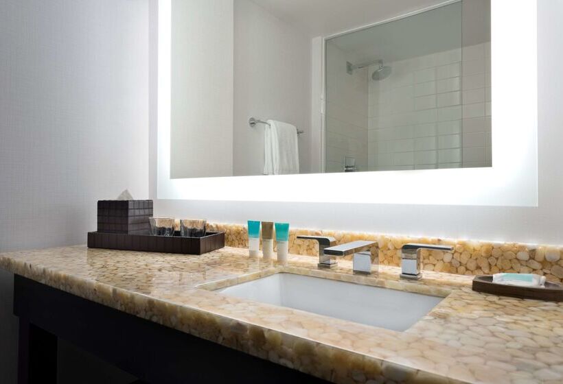 בית מלון כפרי Hyatt Regency Schaumburg Chicago