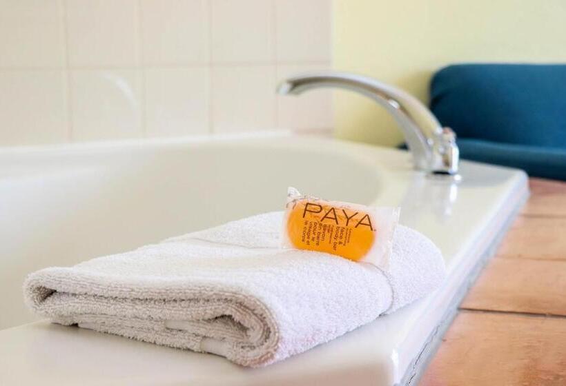 فندق Jupiter Waterfront Inn