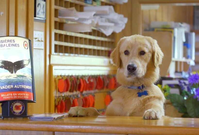 酒店 La Roche Pleureuse