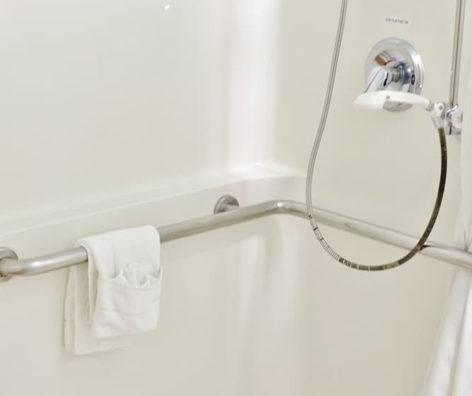 בית מלון כפרי Niwas Inn