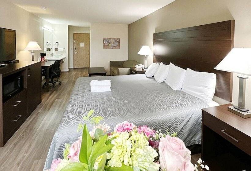 فندق Ocean Star Inn