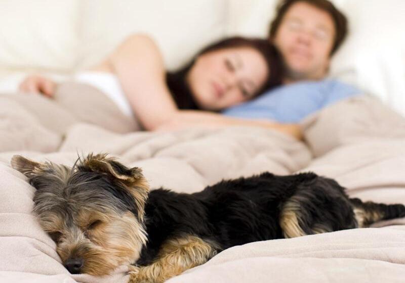 فندق Ocean Star Inn