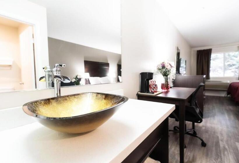 فندق Ocean Star Inn