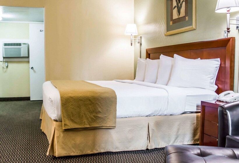 فندق Quality Inn Airport  Cruise Port