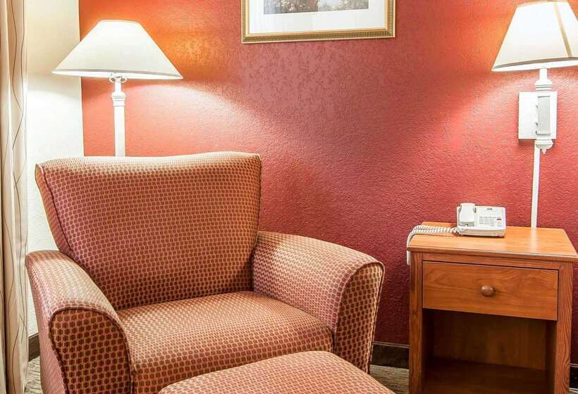 هتل Quality Inn Downtown Convention Center