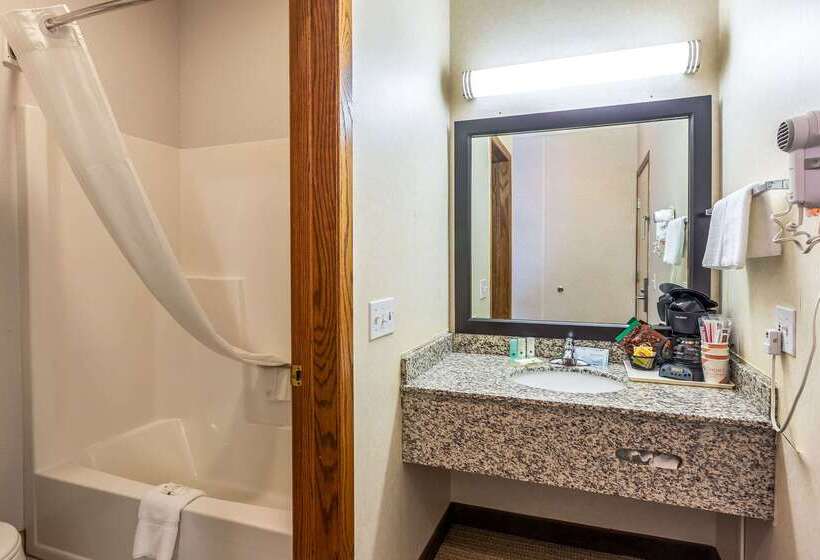 Отель Quality Inn Lakefront