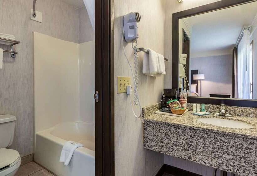 Отель Quality Inn Lakefront