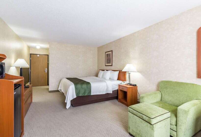 酒店 Quality Inn