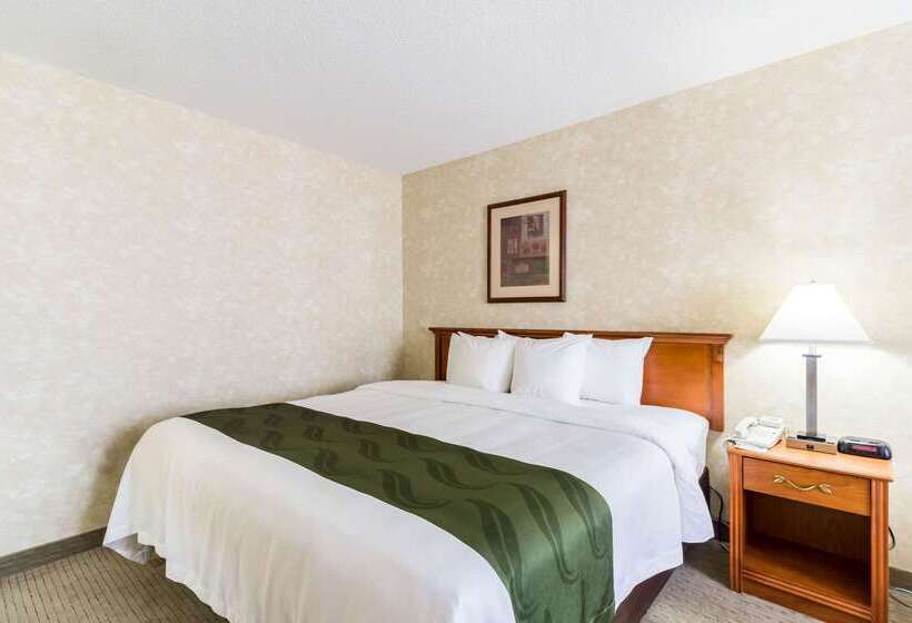 ホテル Quality Inn