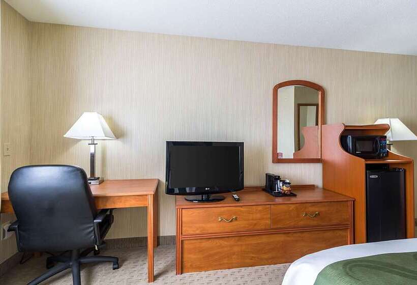 ホテル Quality Inn