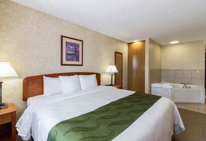 ホテル Quality Inn