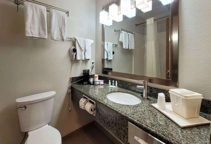 فندق Quality Inn & Suites