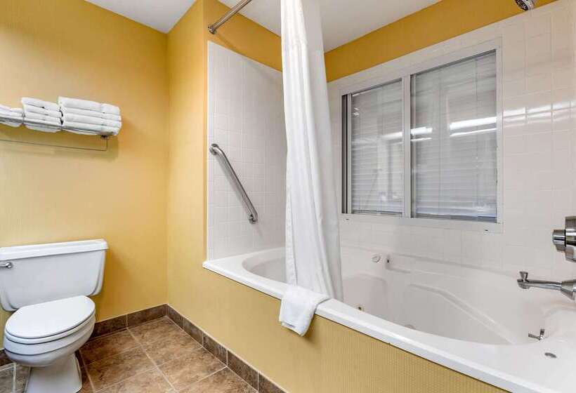 فندق Comfort Inn & Suites