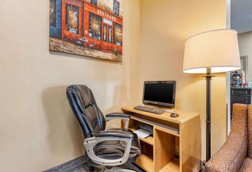 فندق Comfort Inn & Suites