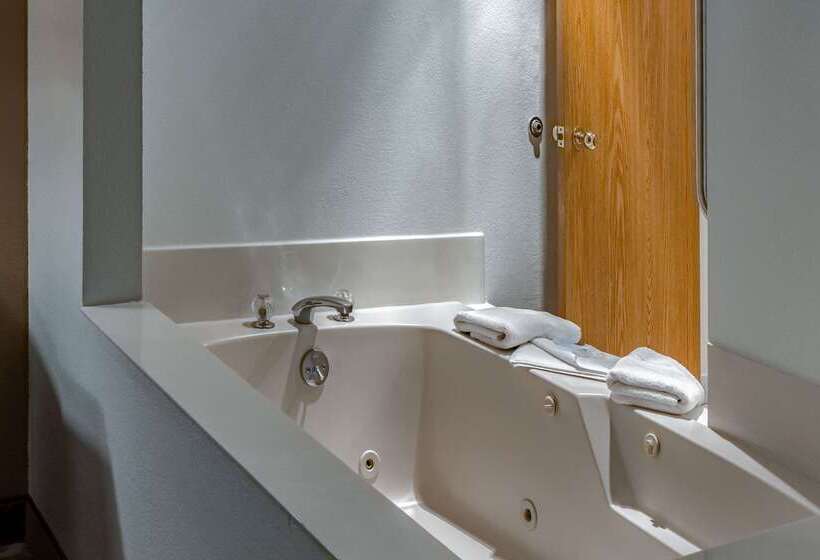 هتل Quality Inn & Suites Vancouver North