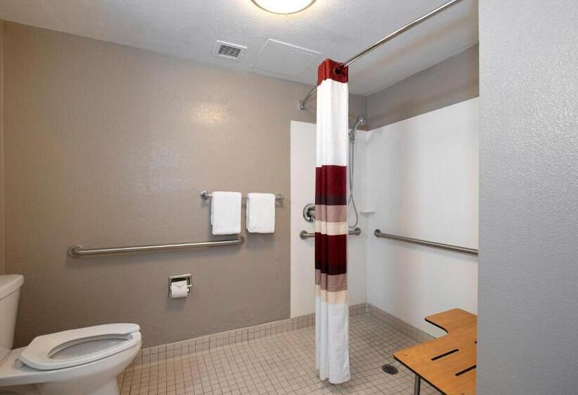 فندق Red Roof Inn Plus Boston   Mansfield   Foxboro