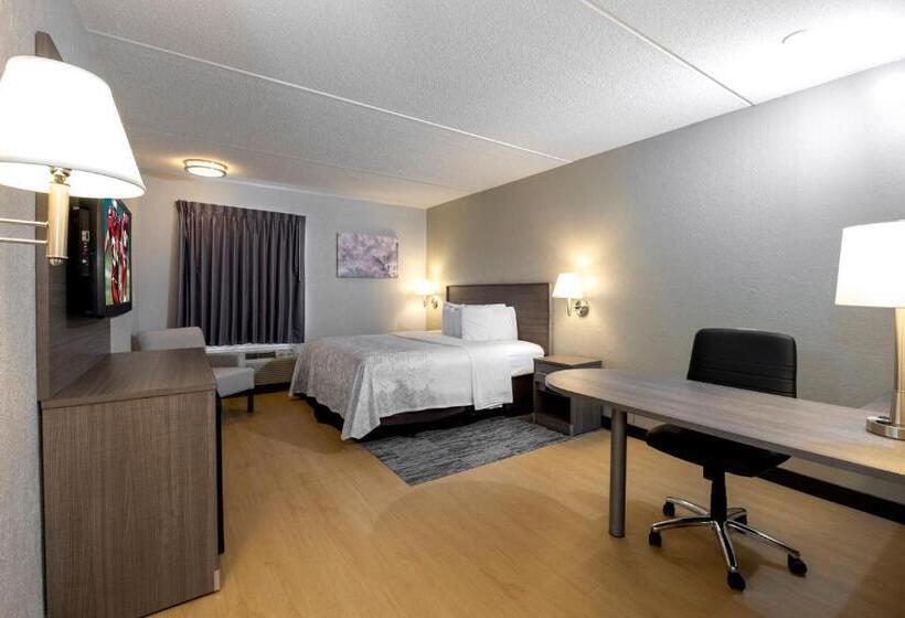 فندق Red Roof Inn Plus Boston   Mansfield   Foxboro