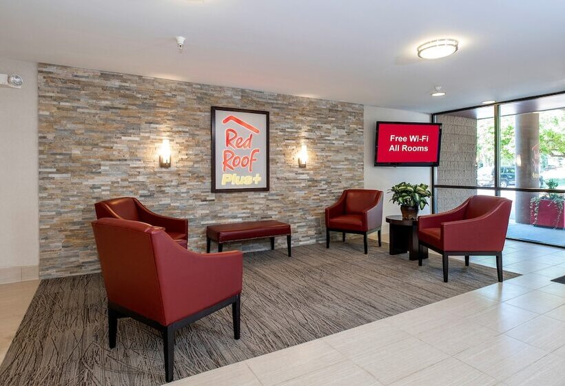 فندق Red Roof Inn Plus Boston   Mansfield   Foxboro