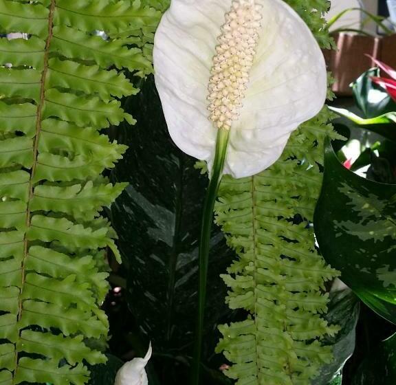 Отель Reef Lodge Backpackers